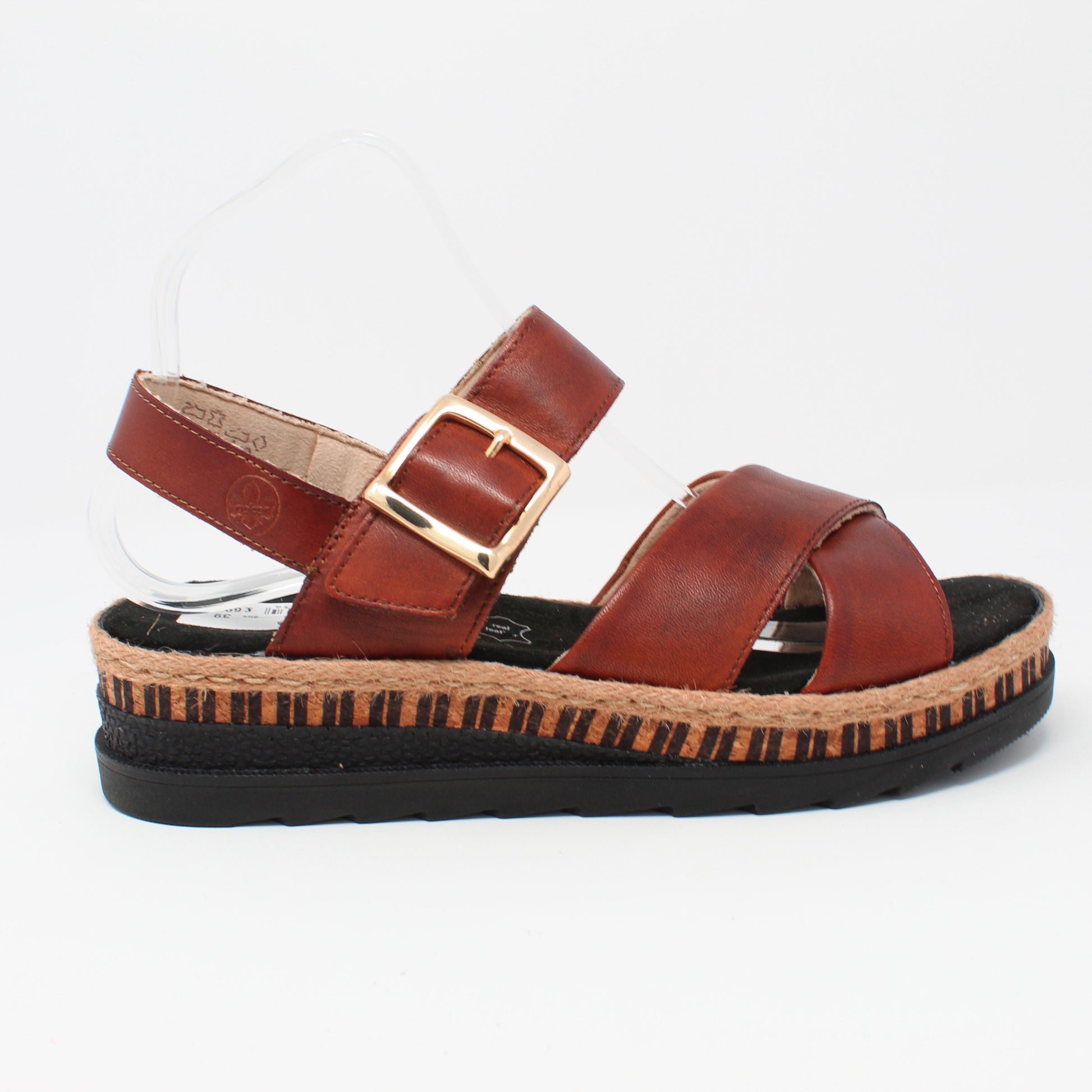 v7951Brown